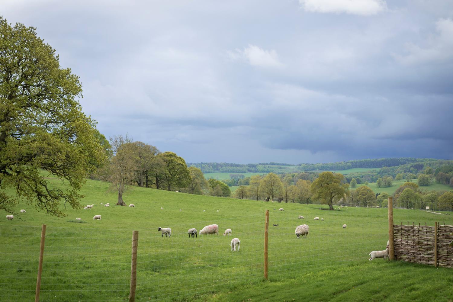 巴斯洛Woodlands Shepherds Hutchatsworth Estate别墅 外观 照片